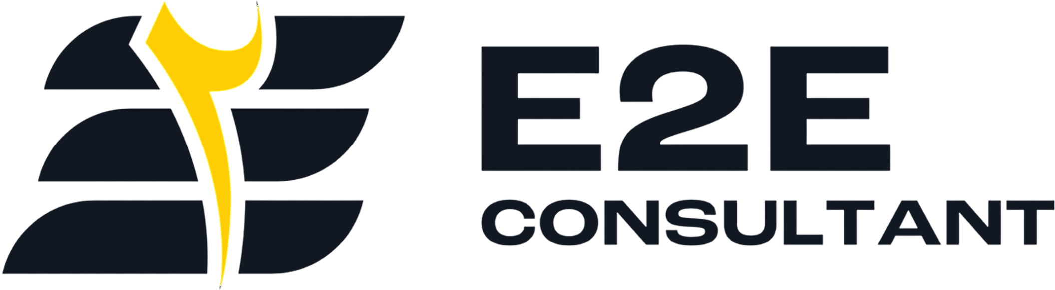 E2E Consultant logo